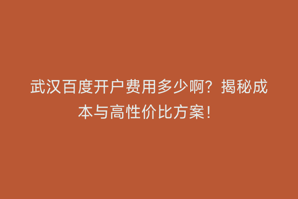 武汉百度开户费用多少啊？揭秘成本与高性价比方案！