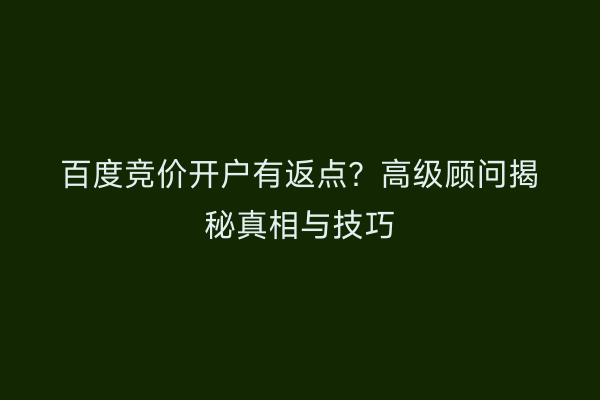 百度竞价开户有返点？高级顾问揭秘真相与技巧