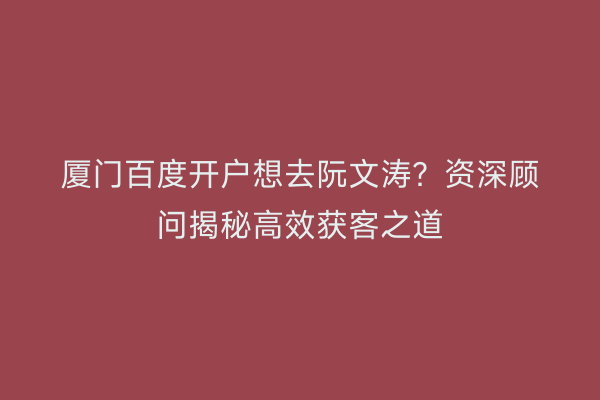 厦门百度开户想去阮文涛?资深顾问揭秘高效获客之道