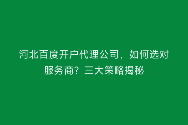 河北百度开户代理公司，如何选对服务商？三大策略揭秘