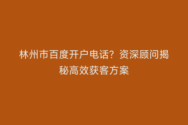 林州市百度开户电话？资深顾问揭秘高效获客方案