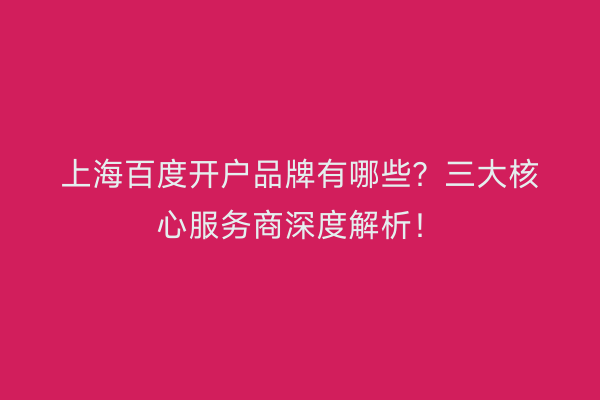 上海百度开户品牌有哪些？三大核心服务商深度解析！