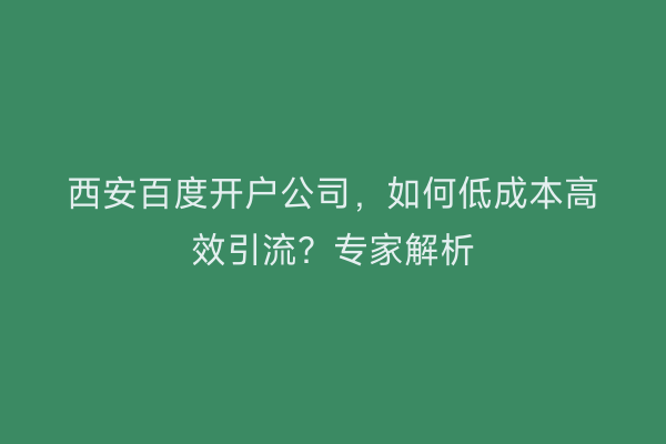 西安百度开户公司，如何低成本高效引流？专家解析