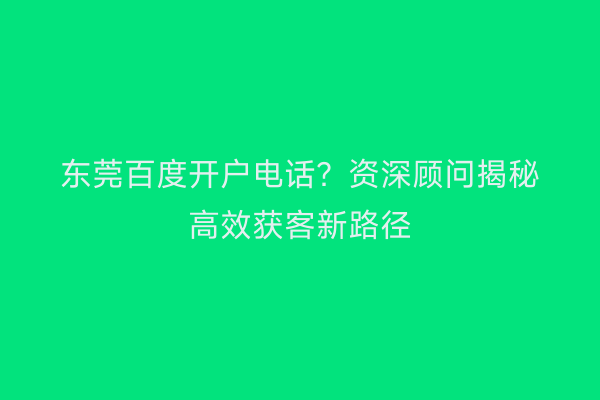 东莞百度开户电话？资深顾问揭秘高效获客新路径