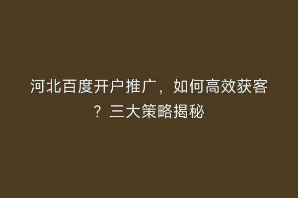 河北百度开户推广，如何高效获客？三大策略揭秘