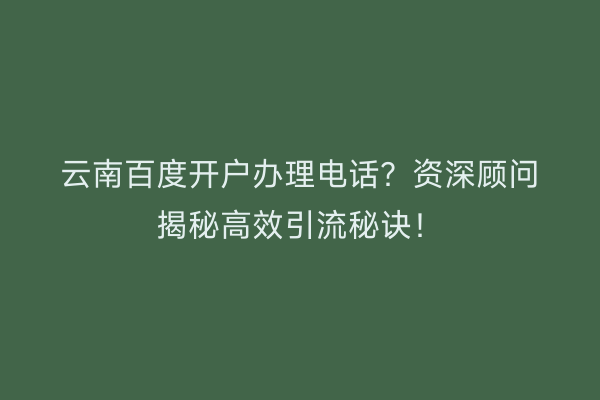 云南百度开户办理电话？资深顾问揭秘高效引流秘诀！
