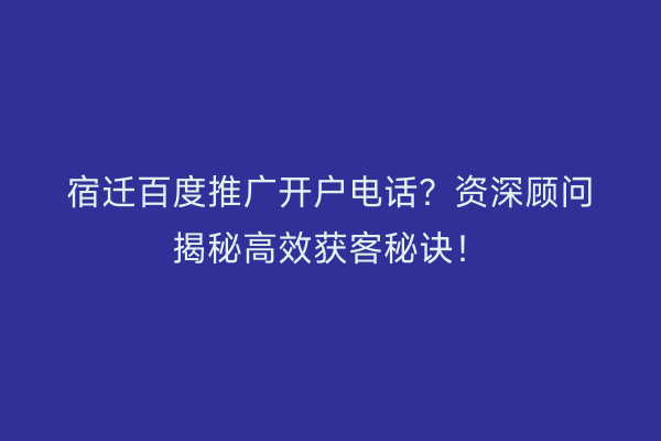 宿迁百度推广开户电话?资深顾问揭秘高效获客秘诀!