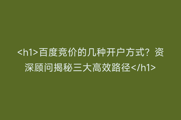 <h1>百度竞价的几种开户方式?资深顾问揭秘三大高效路径</h1>