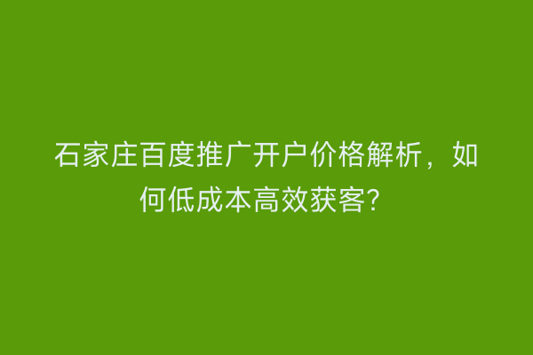 石家庄百度推广开户价格解析，如何低成本高效获客？