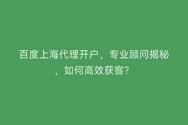 百度上海代理开户，专业顾问揭秘，如何高效获客？