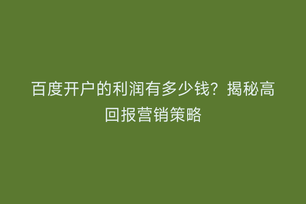 百度开户的利润有多少钱？揭秘高回报营销策略