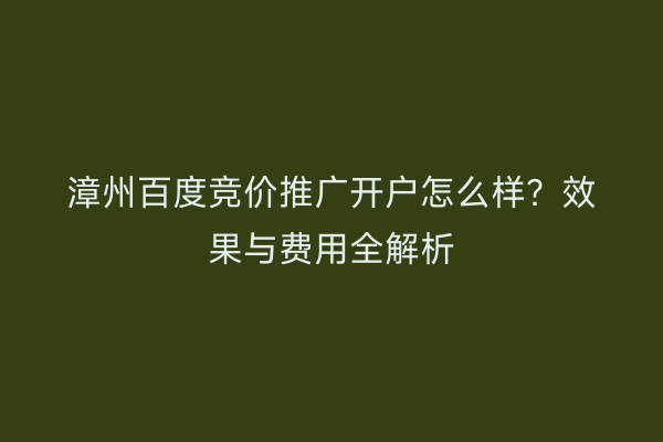 漳州百度竞价推广开户怎么样?效果与费用全解析