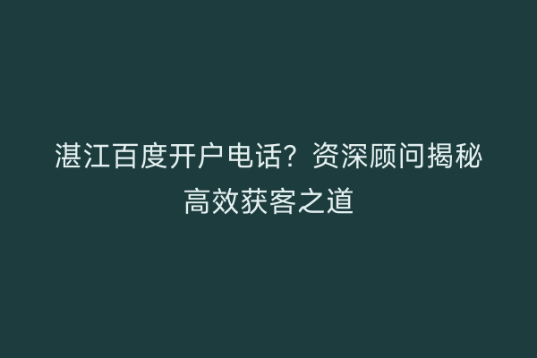 湛江百度开户电话？资深顾问揭秘高效获客之道