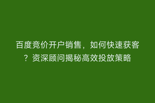 百度竞价开户销售，如何快速获客？资深顾问揭秘高效投放策略