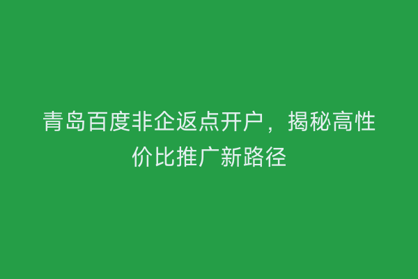 青岛百度非企返点开户,揭秘高性价比推广新路径