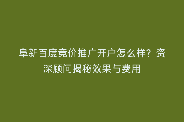 阜新百度竞价推广开户怎么样？资深顾问揭秘效果与费用