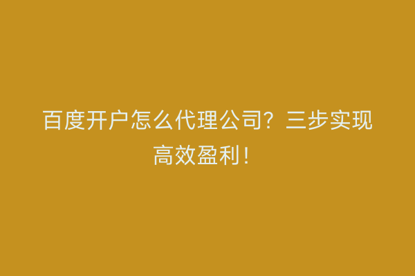 百度开户怎么代理公司?三步实现高效盈利!