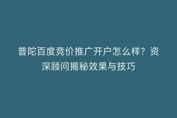 普陀百度竞价推广开户怎么样？资深顾问揭秘效果与技巧