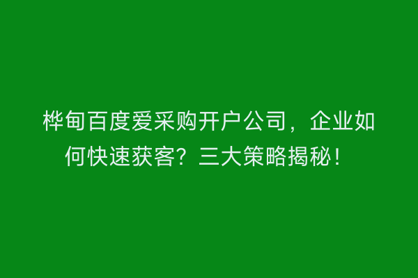 桦甸百度爱采购开户公司，企业如何快速获客？三大策略揭秘！