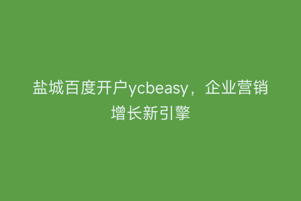 盐城百度开户ycbeasy，企业营销增长新引擎