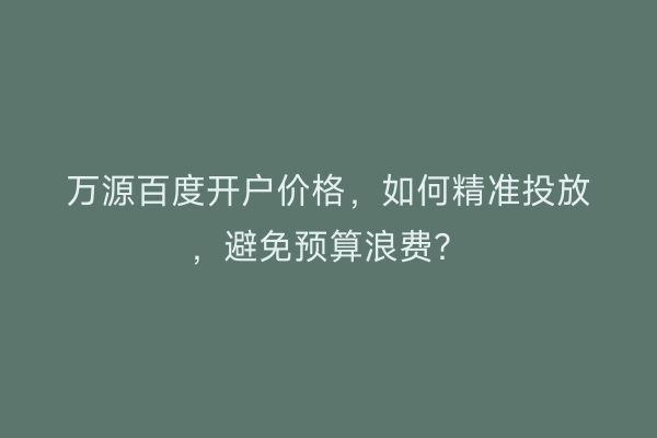 万源百度开户价格,如何精准投放,避免预算浪费?