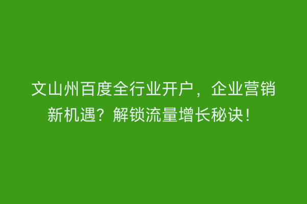 文山州百度全行业开户，企业营销新机遇？解锁流量增长秘诀！