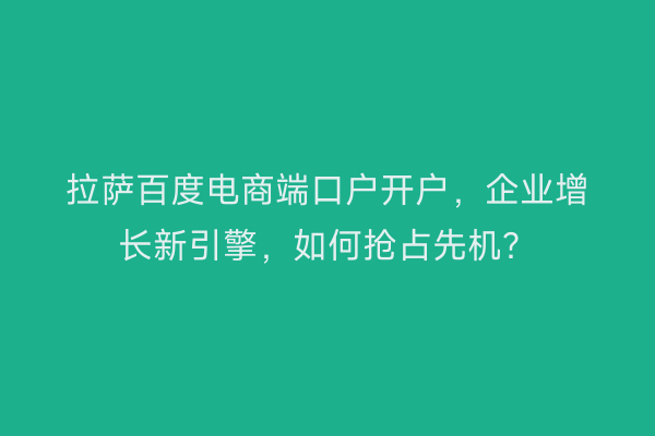 拉萨百度电商端口户开户，企业增长新引擎，如何抢占先机？