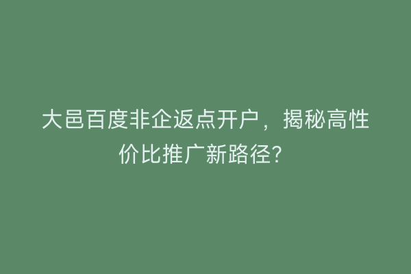 大邑百度非企返点开户，揭秘高性价比推广新路径？