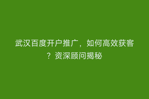 武汉百度开户推广，如何高效获客？资深顾问揭秘