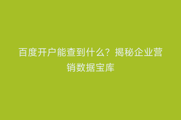 百度开户能查到什么？揭秘企业营销数据宝库