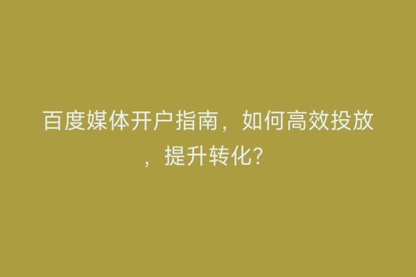百度媒体开户指南，如何高效投放，提升转化？