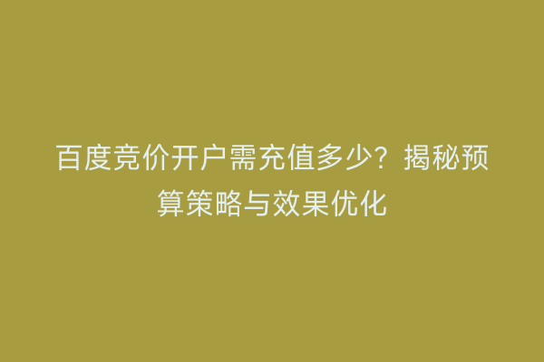 百度竞价开户需充值多少？揭秘预算策略与效果优化