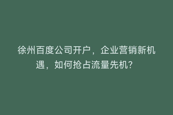 徐州百度公司开户，企业营销新机遇，如何抢占流量先机？