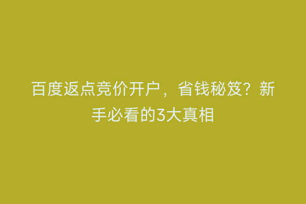 百度返点竞价开户，省钱秘笈？新手必看的3大真相