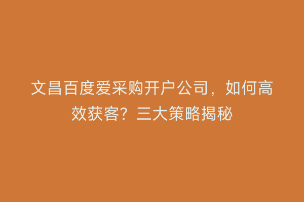 文昌百度爱采购开户公司，如何高效获客？三大策略揭秘