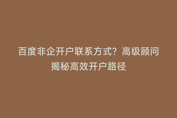 百度非企开户联系方式？高级顾问揭秘高效开户路径