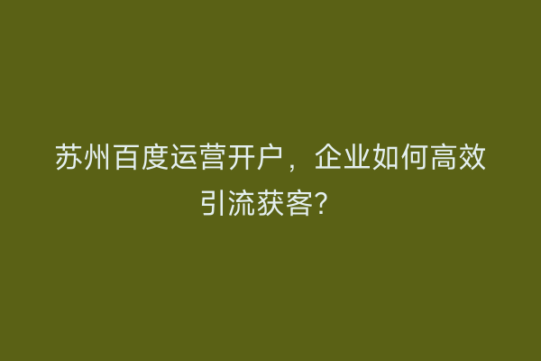 苏州百度运营开户,企业如何高效引流获客?