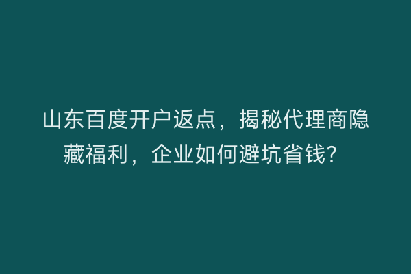 山东百度开户返点，揭秘代理商隐藏福利，企业如何避坑省钱？