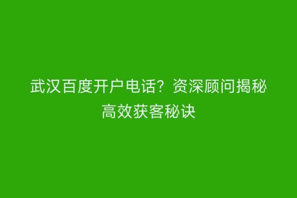 武汉百度开户电话？资深顾问揭秘高效获客秘诀