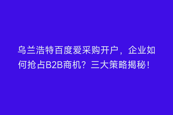 乌兰浩特百度爱采购开户，企业如何抢占B2B商机？三大策略揭秘！