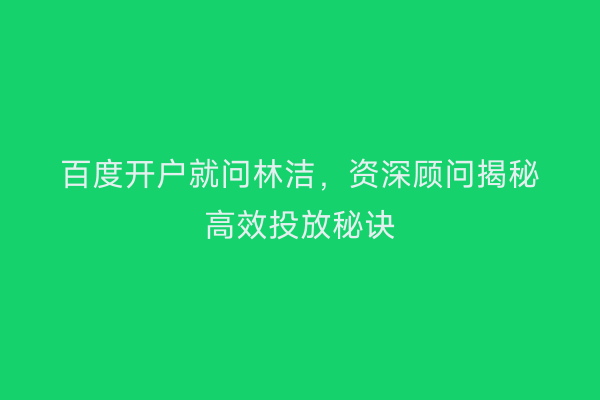 百度开户就问林洁，资深顾问揭秘高效投放秘诀