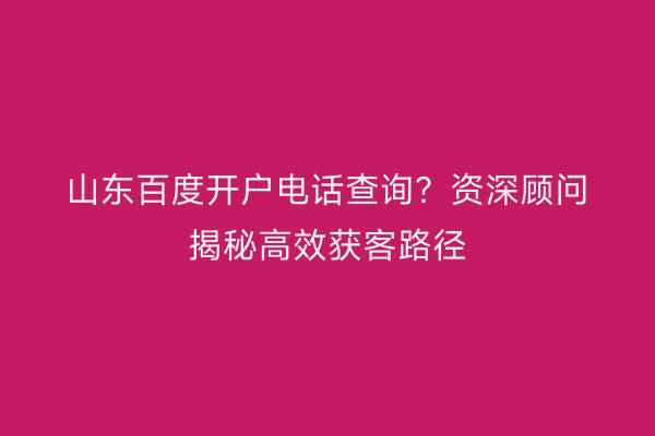 山东百度开户电话查询？资深顾问揭秘高效获客路径