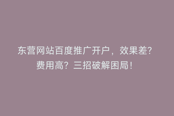 东营网站百度推广开户，效果差？费用高？三招破解困局！