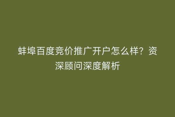蚌埠百度竞价推广开户怎么样？资深顾问深度解析