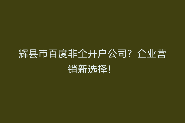 辉县市百度非企开户公司？企业营销新选择！