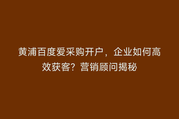 黄浦百度爱采购开户，企业如何高效获客？营销顾问揭秘