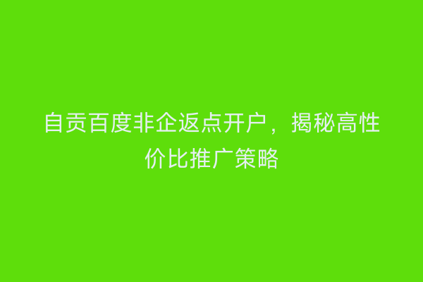 自贡百度非企返点开户,揭秘高性价比推广策略