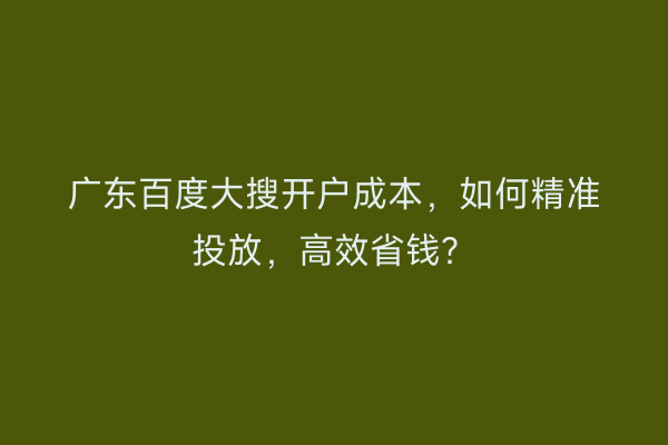 广东百度大搜开户成本，如何精准投放，高效省钱？