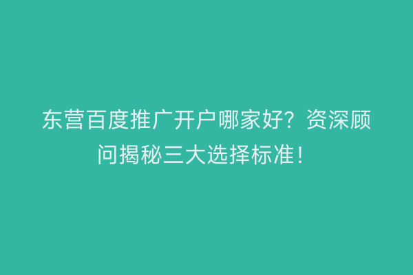 东营百度推广开户哪家好？资深顾问揭秘三大选择标准！