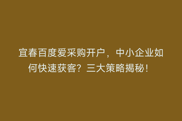 宜春百度爱采购开户，中小企业如何快速获客？三大策略揭秘！